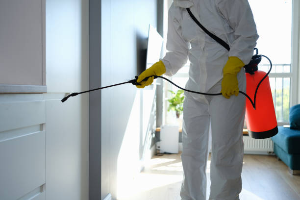 Best Forensic Mold Investigation  in Ennis, TX